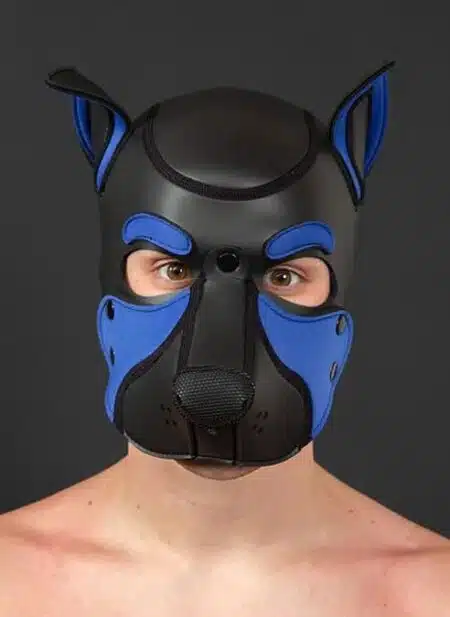 Mr. S Neo Frisky Pup Hood Royal blue
