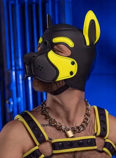Mr. S Neo Frisky Pup Hood Yellow