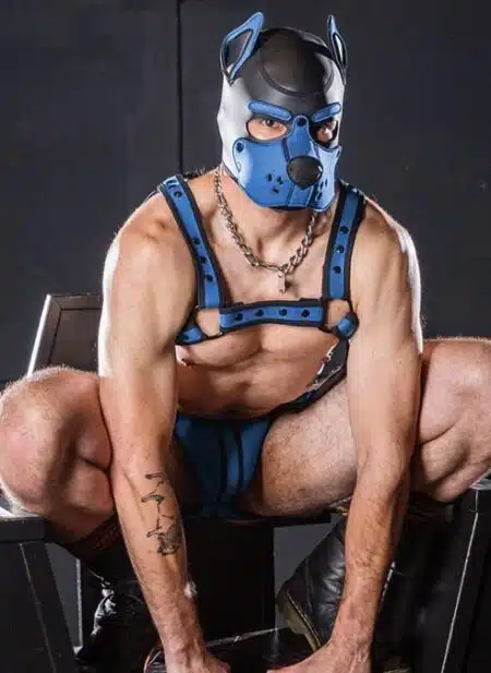 Mr. S Neo K9 Hood Cobalt Blue