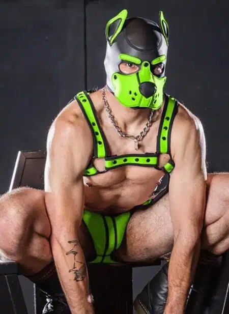 Mr. S Neo K9 Hood Lime