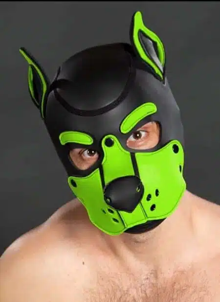 Mr. S Neo K9 Hood Lime