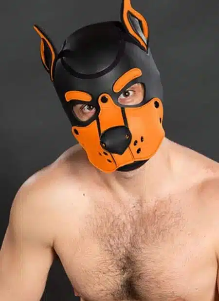 Mr. S Neo K9 Hood Orange