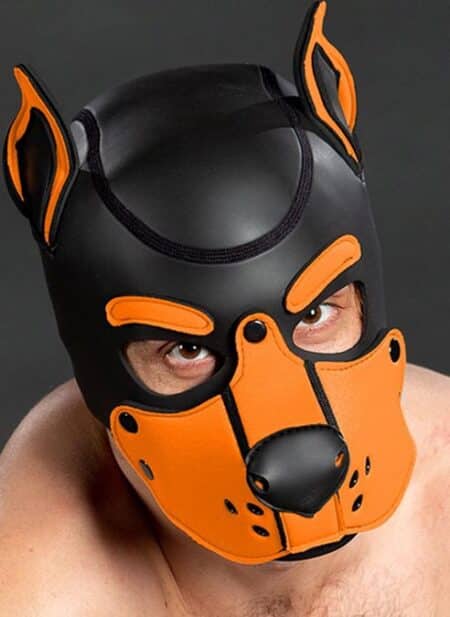 Mr. S Neo K9 Hood Orange