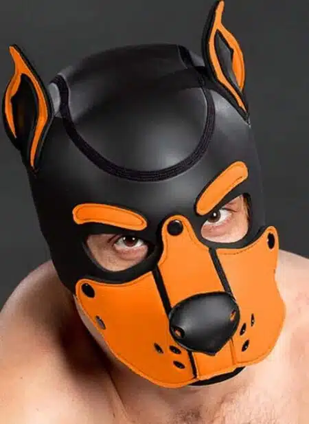 Mr. S Neo K9 Hood Orange