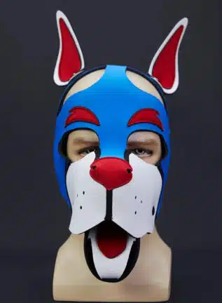 Mr. S Neo WOOF! Head Harness Custom