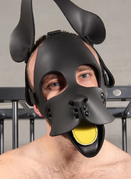 Mr. S Neo WOOF! Head Harness Custom