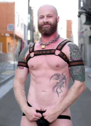 Mr. S Neoprene Bold Color Bulldog Harness (12 Colors)