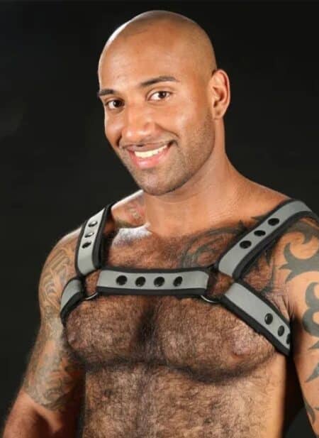 Mr. S Neoprene Bold Color Bulldog Harness (12 Colors)