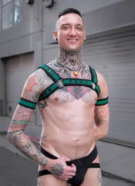 Mr. S Neoprene Bold Color Bulldog Harness (12 Colors)