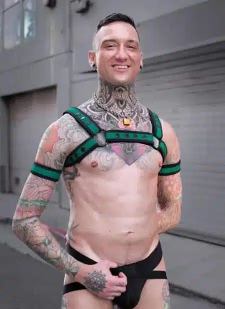 Mr. S Neoprene Bold Color Bulldog Harness (12 Colors)