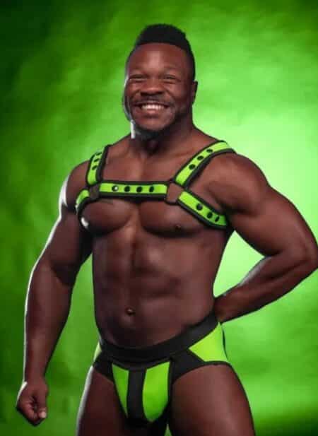 Mr. S Neoprene Bold Color Bulldog Harness (12 Colors)