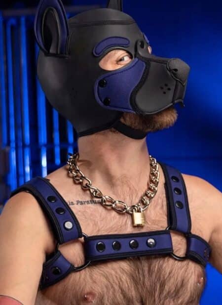 Mr. S Neoprene Bold Color Bulldog Harness (12 Colors)