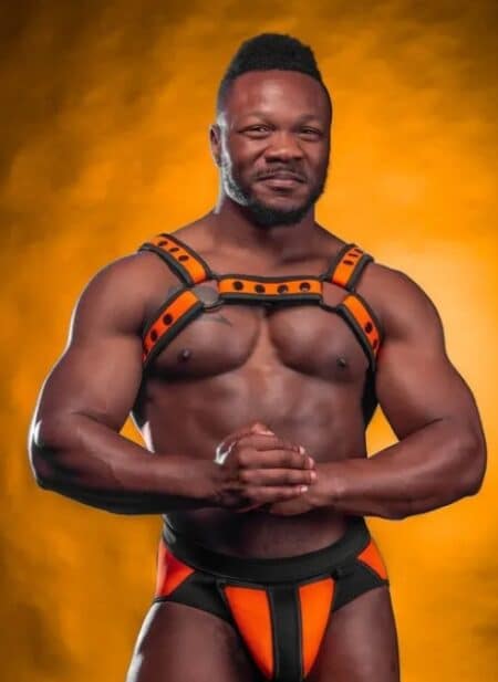 Mr. S Neoprene Bold Color Bulldog Harness (12 Colors)