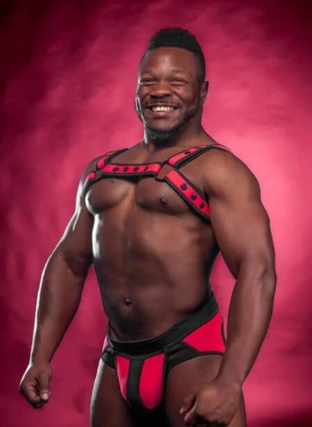Mr. S Neoprene Bold Color Bulldog Harness (12 Colors)