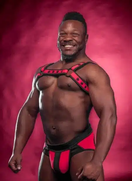 Mr. S Neoprene Bold Color Bulldog Harness (12 Colors)