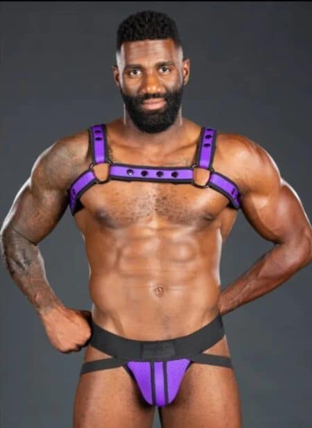 Mr. S Neoprene Bold Color Bulldog Harness (12 Colors)