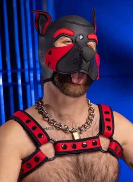 Mr. S Neoprene Bold Color Bulldog Harness (12 Colors)