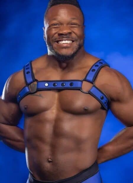 Mr. S Neoprene Bold Color Bulldog Harness (12 Colors)