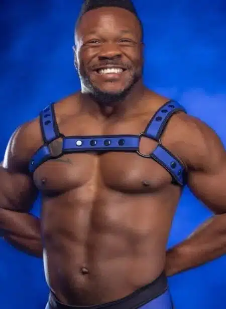 Mr. S Neoprene Bold Color Bulldog Harness (12 Colors)