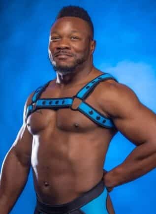 Mr. S Neoprene Bold Color Bulldog Harness (12 Colors)