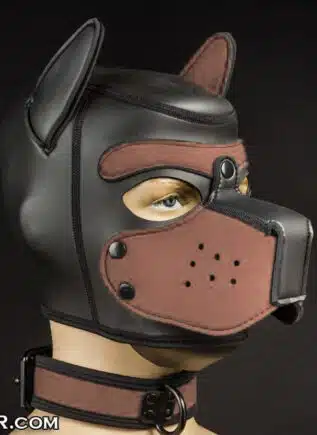 Mr. S Neoprene Puppy Collar Brown