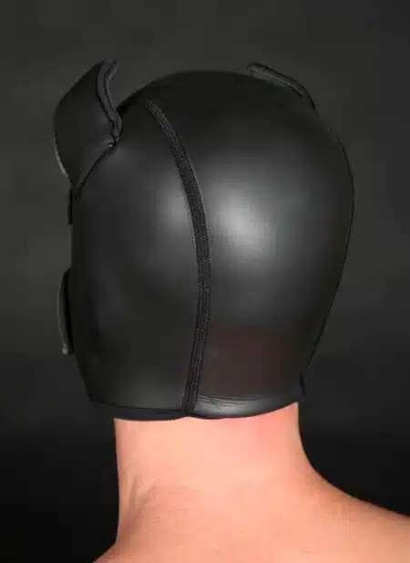 Mr. S Neoprene Puppy Hood Aqua