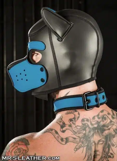 Mr. S Neoprene Puppy Hood Aqua