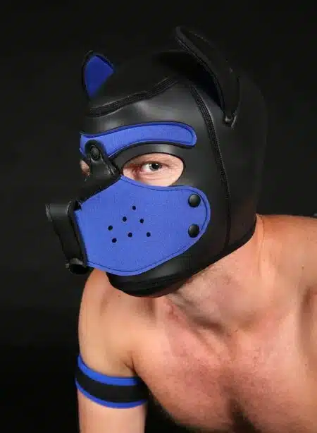 Mr. S Neoprene Puppy Hood Royal Blue