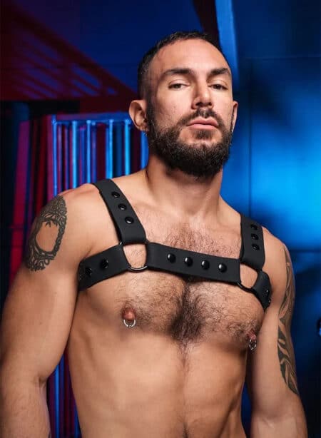 Mr. S Slick Silicone Bulldog Harness