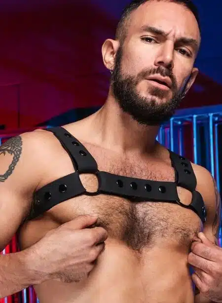 Mr. S Slick Silicone Bulldog Harness