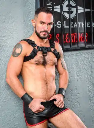 Mr. S Vegan Bulldog Harness