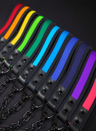 Neoprene Puppy Leash - 16 Colors