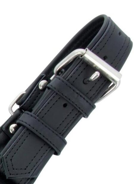 Titus Handler Harness