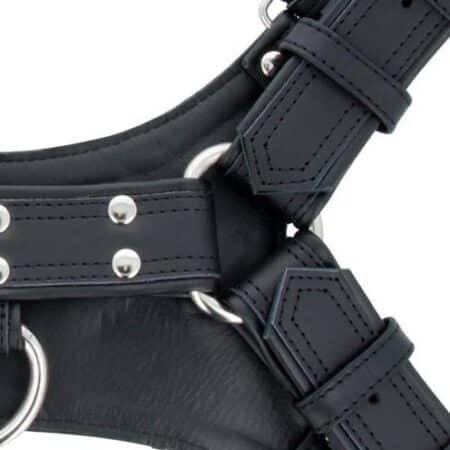 Titus Handler Harness