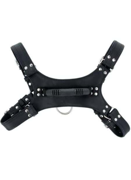 Titus Handler Harness