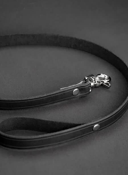 Mr. S Leather All Leather Leash