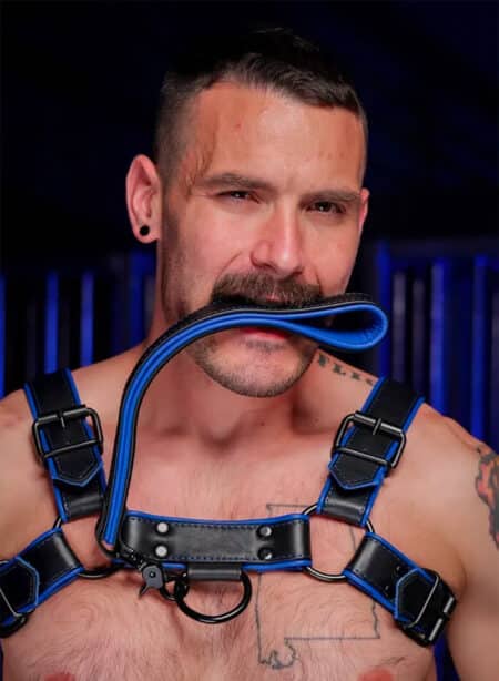 Mr. S Leather Hardline Short Leash Blue
