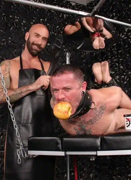 Mr. S Leather Heavy Duty Posture Collar