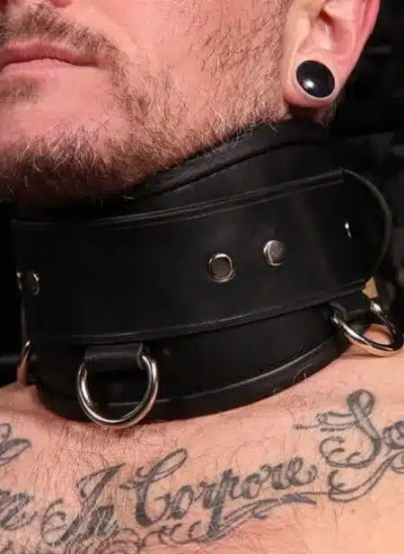 Mr. S Leather Heavy Duty Posture Collar