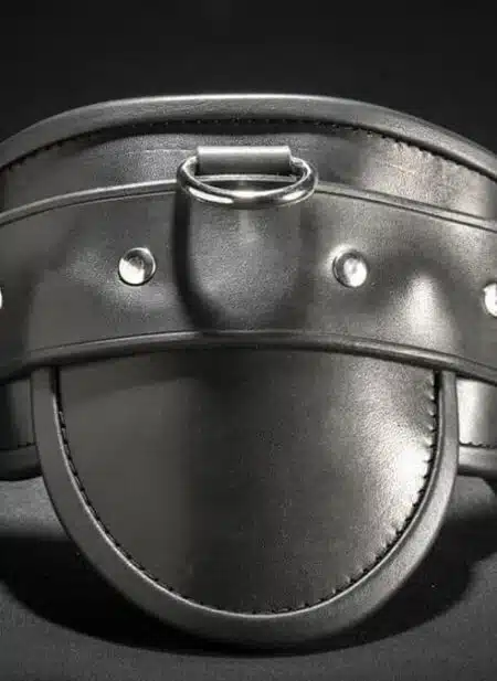 Mr. S Leather Heavy Duty Posture Collar