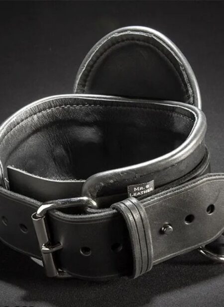Mr. S Leather Heavy Duty Posture Collar