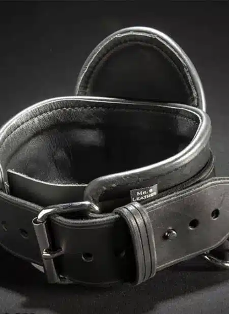 Mr. S Leather Heavy Duty Posture Collar