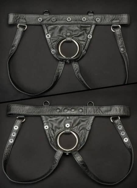 Mr. S Leather Hidden Ring Jock