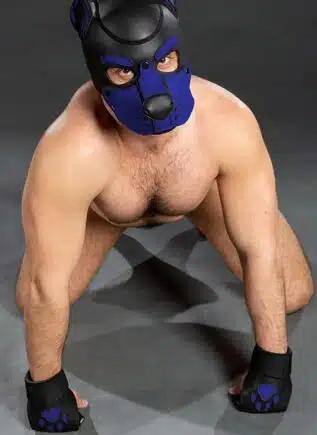 Mr. S Leather Open Paw Puppy Glove Royal blue
