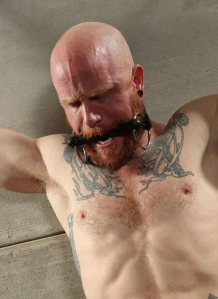 Mr. S Leather Training Bit Gag