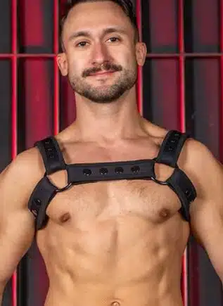 Mr. S Neo Carbon Black Bulldog Harness Black