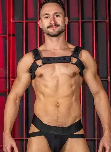Mr. S Neo Carbon Black Bulldog Harness Black