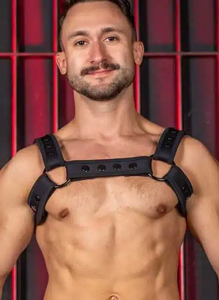Mr. S Neo Carbon Black Bulldog Harness Black