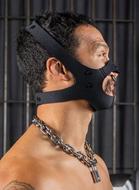 Mr. S Neo Face Muzzle Head Harness