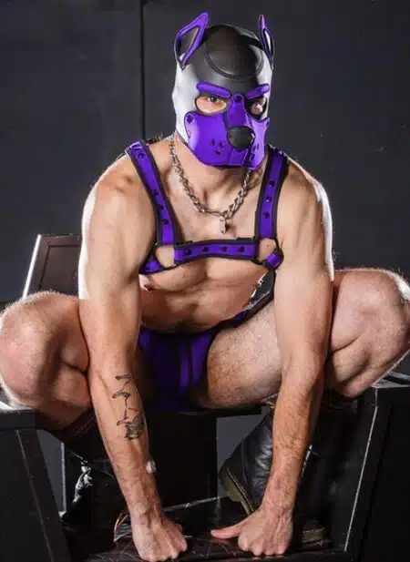 Mr. S Neo K9 Hood Purple